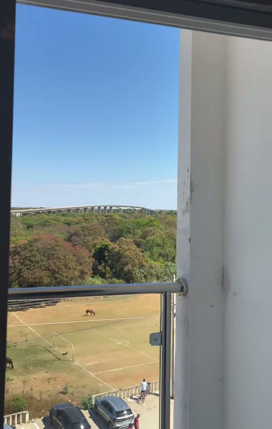 Vista de dia do rio e da ponte